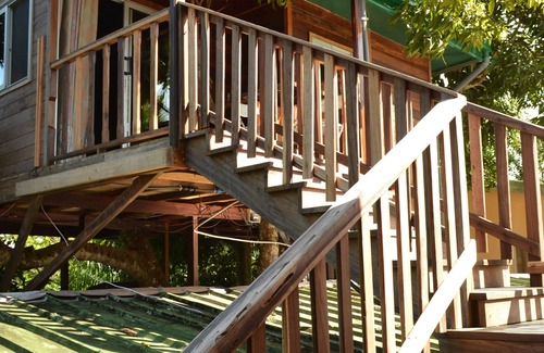 Kribi Cabin | Noah's hut in a hundred-year-old mango tree