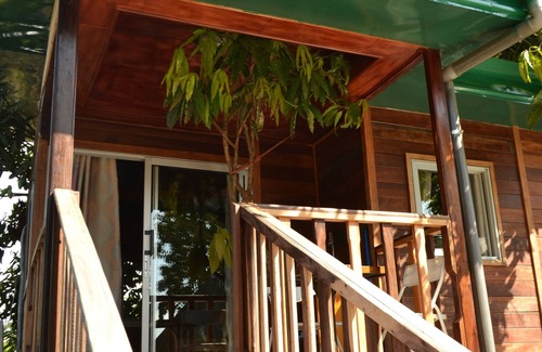 Kribi Cabin | Noah's hut in a hundred-year-old mango tree