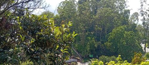 Bandarawela House | Nobel regency bandarawela