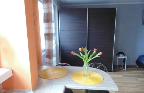 Uniejow Apartment | Nocleg u Mario