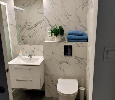 Pabianice Apartment | Noclegi Duet House Green Harmony Studio wejście na kod CENTRUM Ptak, Orientarium, Mandoria, Fala, Centrum Zdrowia Matki Polki, bezpłatny parking, klimatyzacja