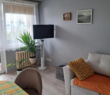 Zywiec Apartment | Noclegi Mieszkanie Kuchnia Żywiec