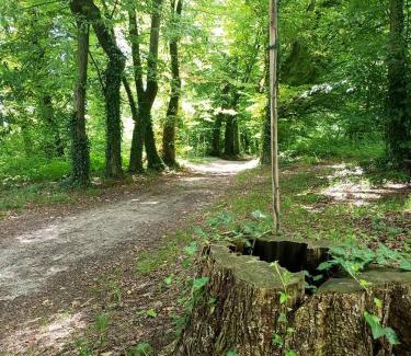 gmina Rudnik Bed & Breakfast | Noclegi u Eichendorffa
