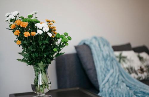 Kalisz Apartment | Nocosfera Apartament Serbinów