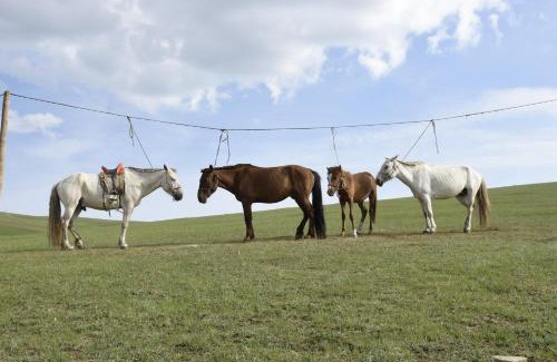 Sergelen House | Nomad Equestrian Stable
