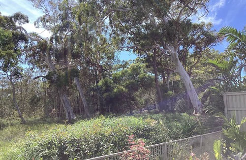 Peregian Beach House | Noosa/Coolum 2 Bedroom s/contained studio apartment