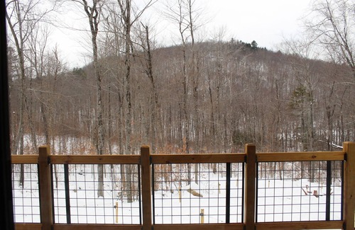 South Pond Shores Cabin | Nordic House - Glamping Cabin w Hot Tub, Sauna, Cold Plunge + Waterfront w Dock