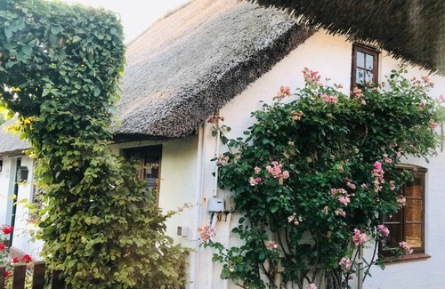 Midlum House | North Sea - Dream vacation in a Frisian house with thatched roof, whether single, couple, family
