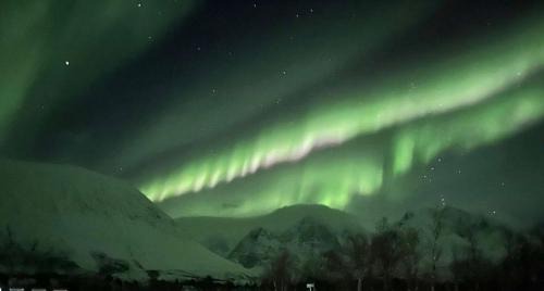 Lyngen Apartment | Northern Light Lodge - Lyngen