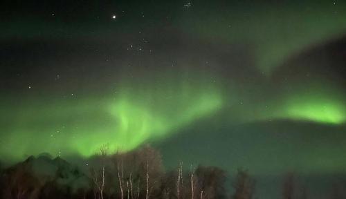 Lyngen Apartment | Northern Light Lodge - Lyngen