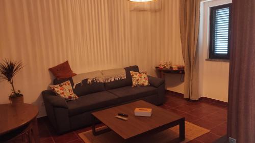 Torrao Villa | Nova Quinta Moderna TORRAMO em Oliveiras, Campo de Laranjas, na Nacional 2, Alentejo 13750 m2