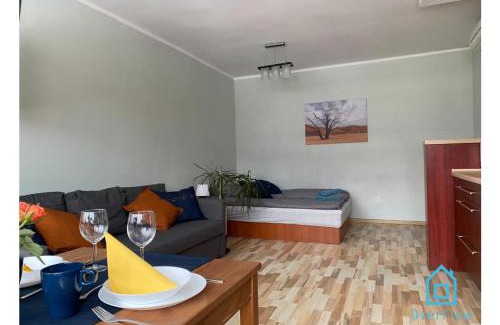 Gdansk Apartment | nowy Camel