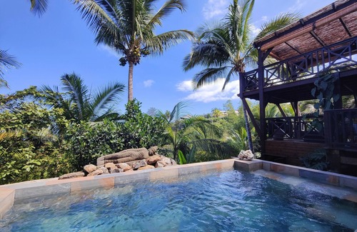 Les Avirons Apartment | nugget! Ocean view studio with private Jacuzzi in an exceptional tropical garden