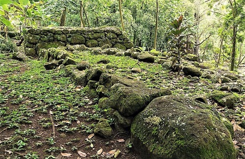 Taiohae House | NUKU-HIVA - Fare Mokai