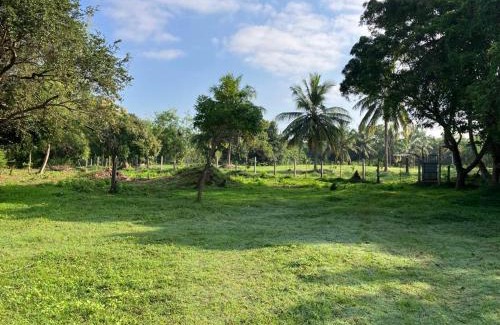 Attikulama House | Nuwara Wewa Holiday Resort
