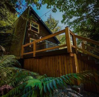 Verlot House | NWPADS-Verlot River Cabin - Hot Tub-Firepit-Beach