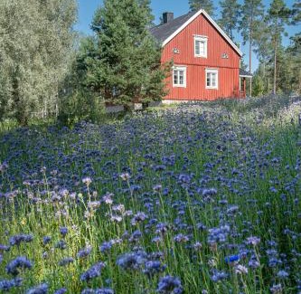 Raseborg Villa | Nybacka Torp