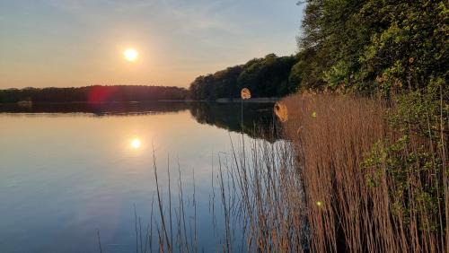Sierakow Resort | Ośrodek Moje El Dorado - domki letniskowe