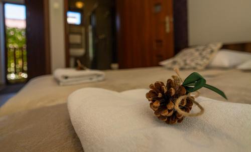 Krynica-Zdroj Resort | Ośrodek Szkoleniowo-Wypoczynkowy u Leśników