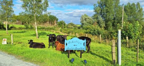 Killeshandra Bed & Breakfast | O'Reilly's Bed and Breakfast Killeshandra