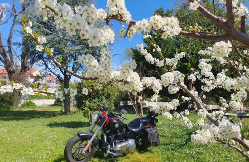 Castelfidardo Bed & Breakfast | OAK TREE 114 BnB