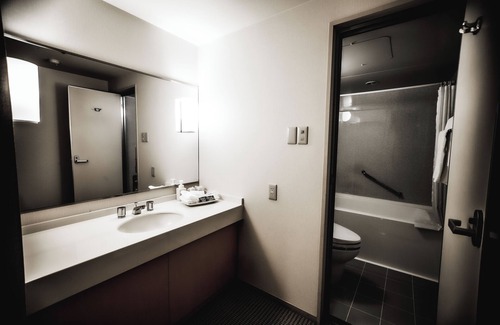 Toyama Hotel | Oarks canal park hotel Toyama