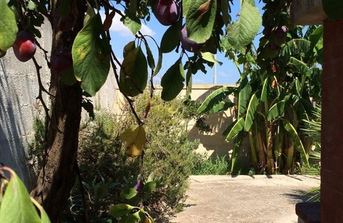 Squinzano House | Oasi of Relax in Salento
