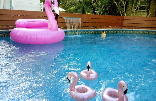Broadmoor Apartment | Oasis in the Heart of New Orleans with private heated pool