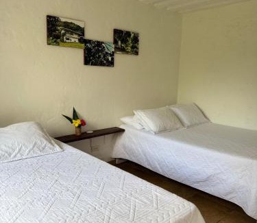 San Francisco Hotel | OASSIS CONEXION SIN FRONTERAS