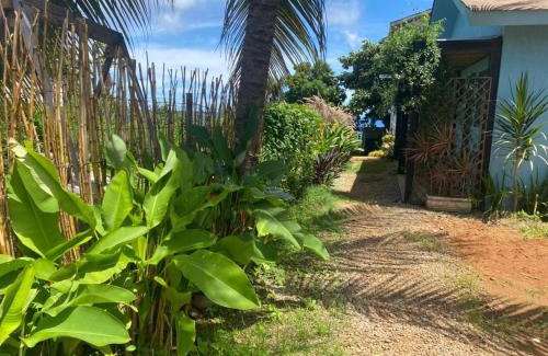Floresta Velha House | Oby Noronha