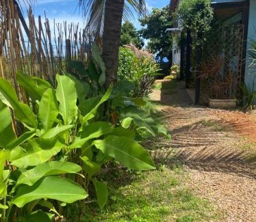 Floresta Velha House | Oby Noronha
