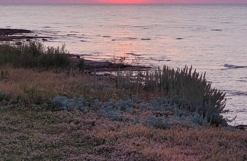 Points East Cottage | Ocean Front 3 bedrooms. Amazing sunroom and a few minutes walk from Sandy Beach.