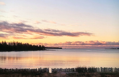 Grand Manan Island Apartment | Ocean Front Private 1 Bdrm + Living + Kitchenette Watch The Fundy Tides BBQ&fire
