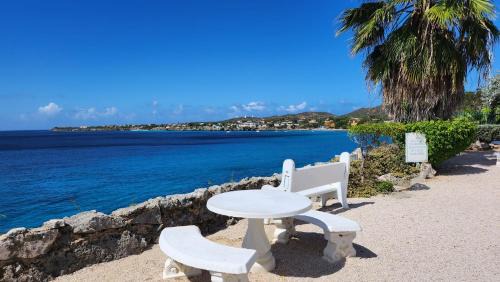 Sabana Westpunt Villa | Ocean Teal Villa Marazul
