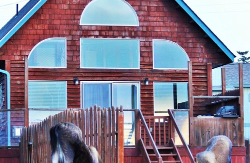 Homer Cottage | Ocean View Kachemak Cottage on Bishops Beach in the heart of town close to dining and shopping
