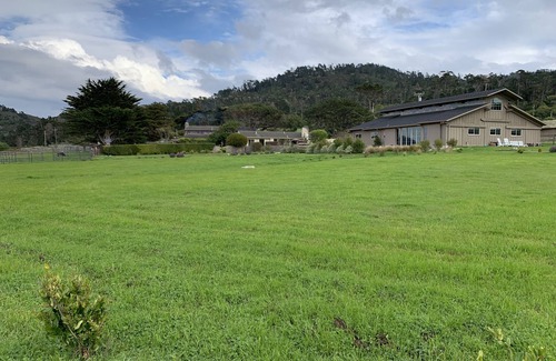 Carmel House | Ocean view suite in a restored barn - walkable to Pt. Lobos and Monastery Beach!