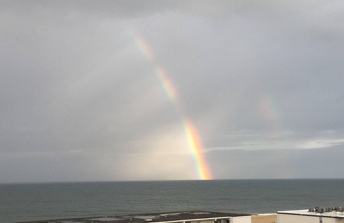 North Ocean City Condo | Ocean View Top Floor, Pool Elevator, steps to the beach Full kitchen, sleeps 4.