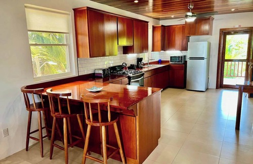Caye Caulker Apartment | Oceanfront 3 bed/3 ba Penthouse Velento#1 private dock/pool/free paddleboards