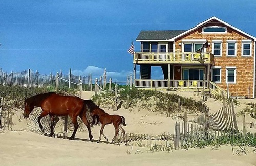 Corolla House | OCEANFRONT, 4-wheel drive area, Wild Horses, Ocean Views! 4x1662, Dolphin Watch