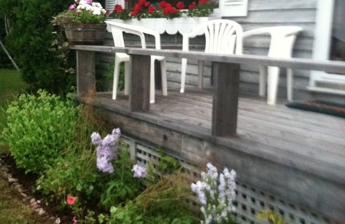 Winter Harbor House | Oceanfront Cottage W/Views of Acadia Natl. Park/Walk to Town