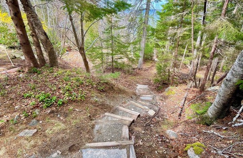 Salsbury Cove House | Oceanfront home only 2 miles to Acadia Natl Park & close to downtown Bar Harbor