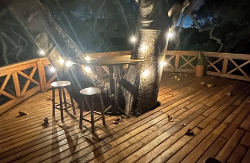 Playa La Redonda House | Oceanfront Tree House
