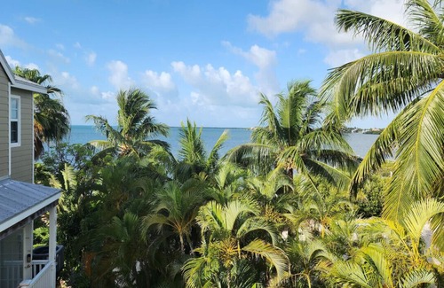 Cudjoe Key House | Oceanside home, dock,kayaks,bikes,pool,fishing,107