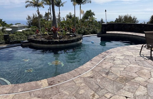 Captain Cook House | Oceanview, private pool, 5 acres of avocados! Gorgeous coffee district jewel!