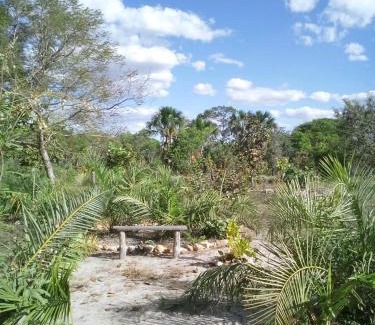 Mateiros Other | Odara Glamping-Jalapão