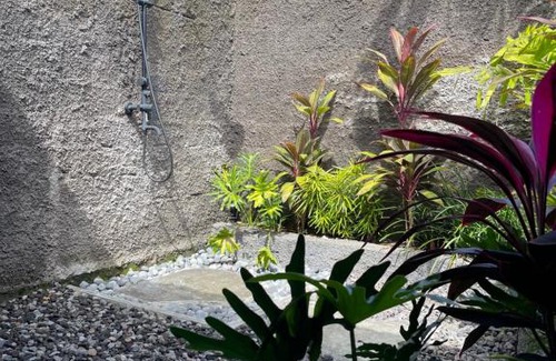 Amlapura Bed & Breakfast | Oemah Gebagan 78 Akasha Room B&B