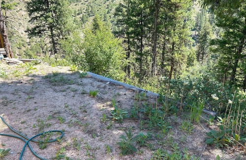 Lowman Cabin | Off Grid Cabin With WIFI! Surrounded by hiking trails, beautiful scenery