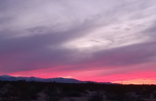 Joshua Tree RV Rental | Off grid camping, bring tents or camper van. The only frill is a clean outhouse!