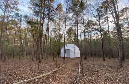 Lake Oconee RV Rental | Off-Grid Dome Hideaway in the Woods