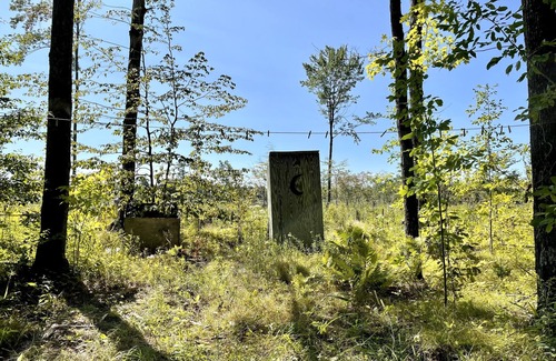 Westboro Cabin | Off grid solar a-frame cabin Northwoods Farm Stay Hundreds of Acres to Explore